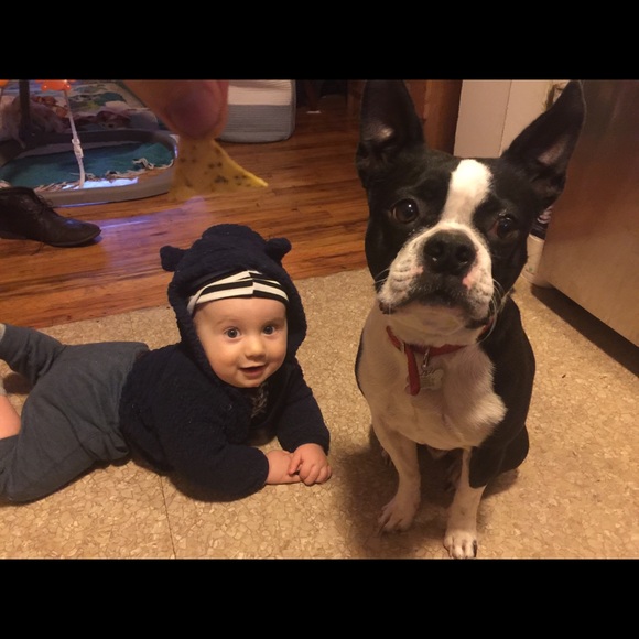 Meet your Posher, Michael - Picture 2 of 7